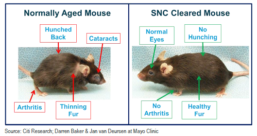Differential Control of Mouse